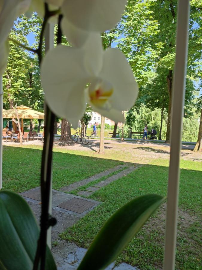 Apartman Dux Karlovac Esterno foto